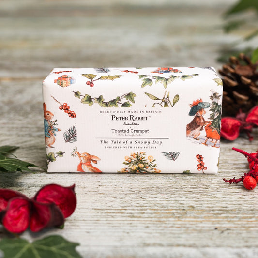 Peter Rabbit & Friends "The Tale of a Snowy Day" Soap
