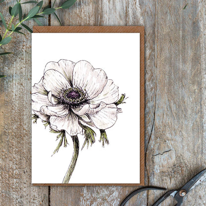 "The Blanc Collection" Boxed Set of 8 Mixed Notecards