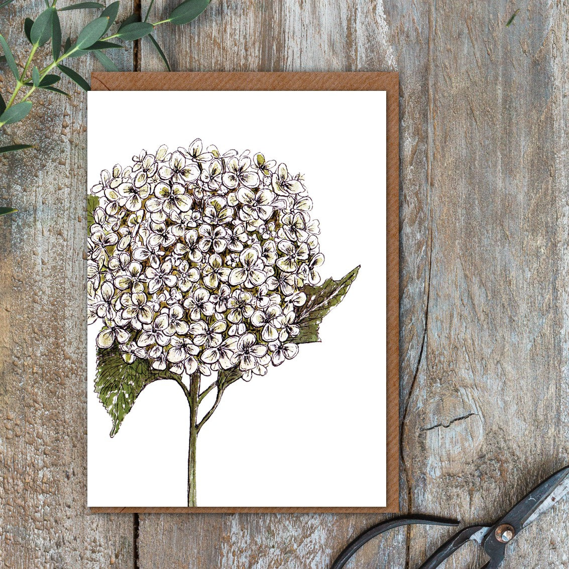 "The Blanc Collection" Boxed Set of 8 Mixed Notecards