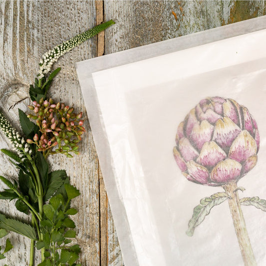The Kitchen Garden Artichoke 10x12" Fine Art Print