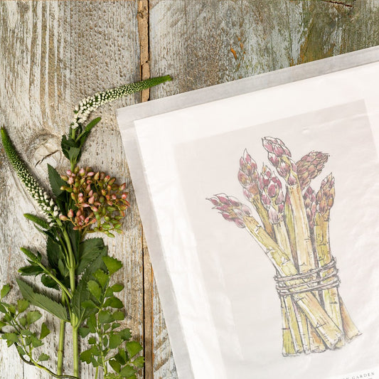 The Kitchen Garden Asparagus 10x12" Fine Art Print
