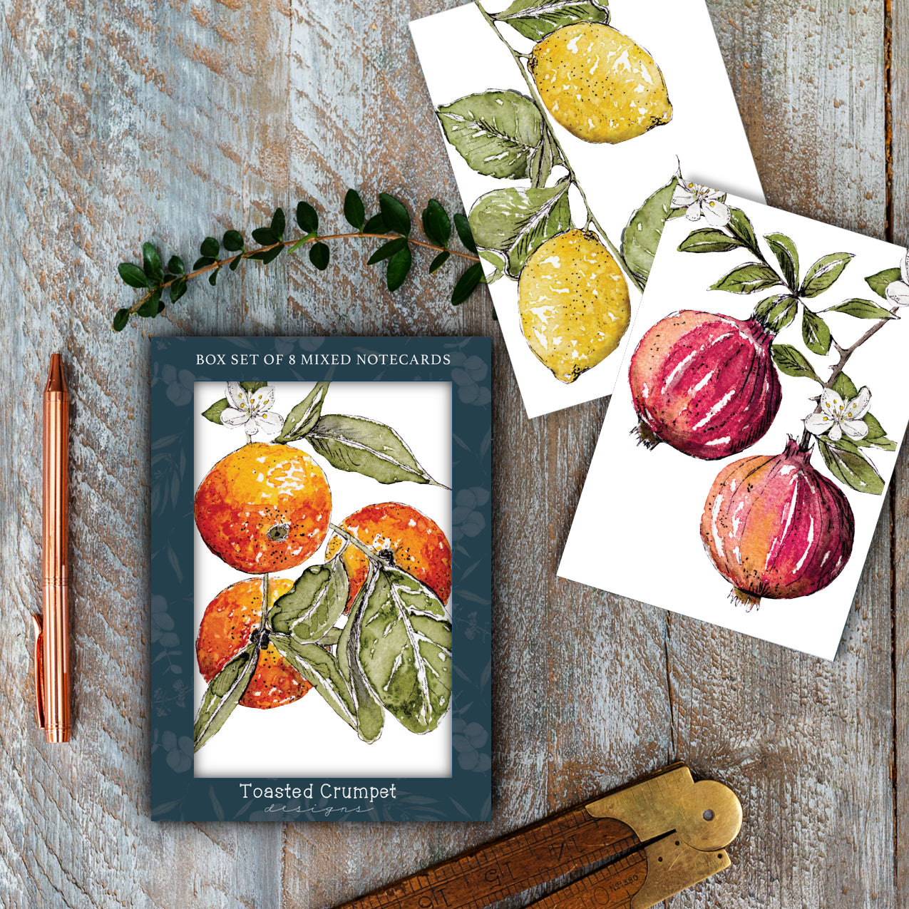 NEW! "The Orangery" Boxed Set of 8 Mixed Notecards