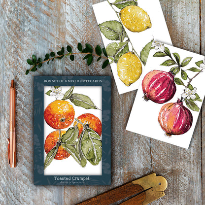 NEW! "The Orangery" Boxed Set of 8 Mixed Notecards