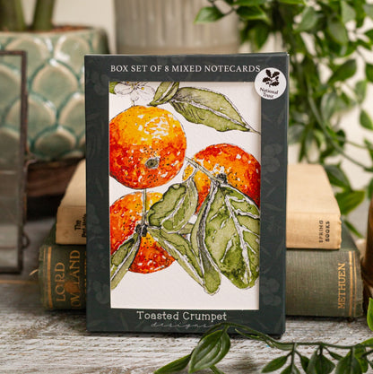 NEW! "The Orangery" Boxed Set of 8 Mixed Notecards