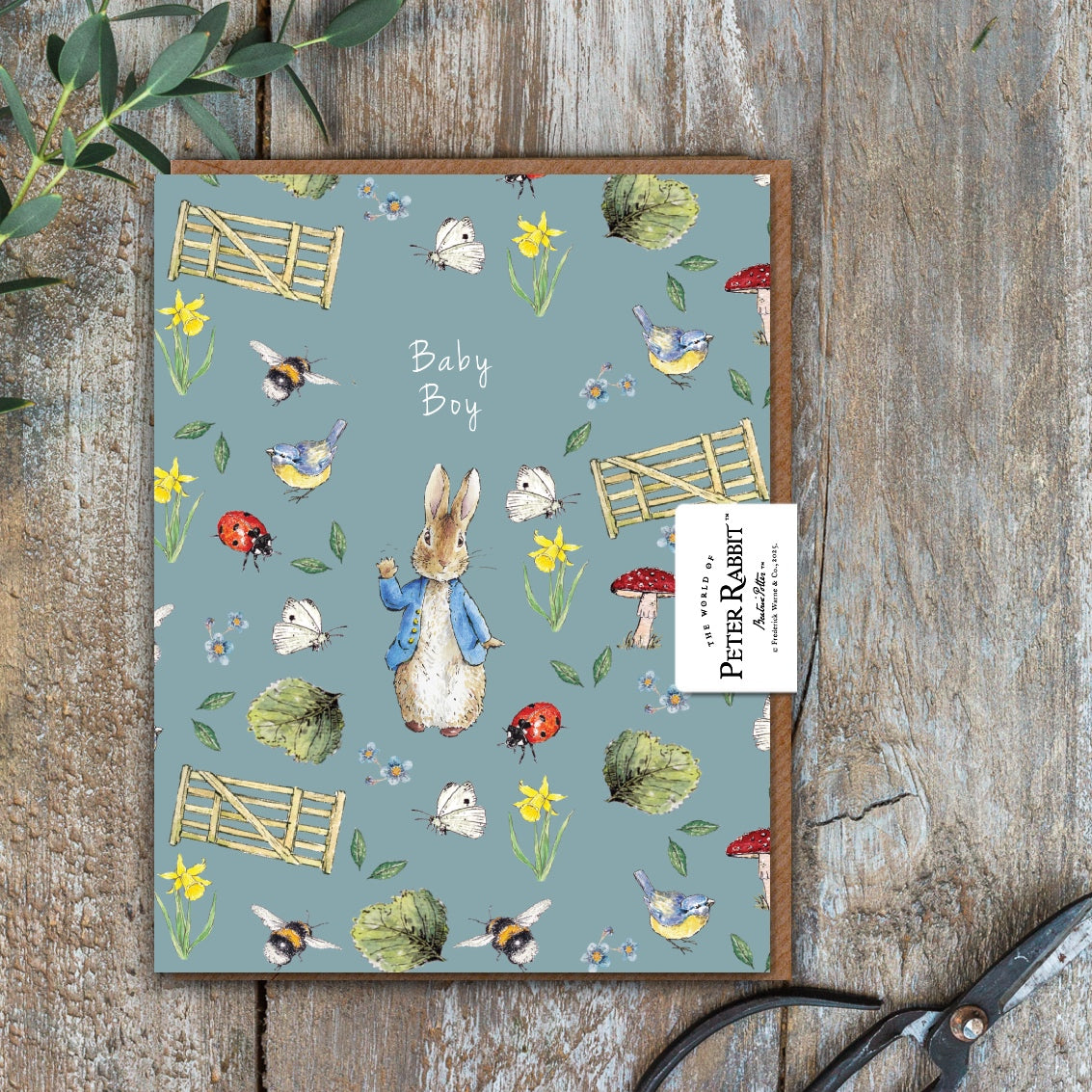 Baby Boy (Peter Rabbit) Card (Cello-Free)