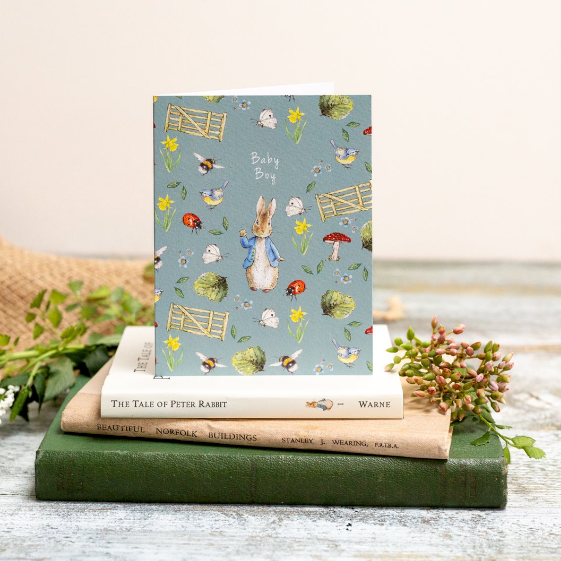 Baby Boy (Peter Rabbit) Card (Cello-Free)