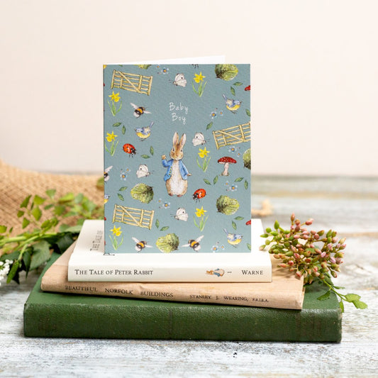 Baby Boy (Peter Rabbit) Card (Cello-Free)