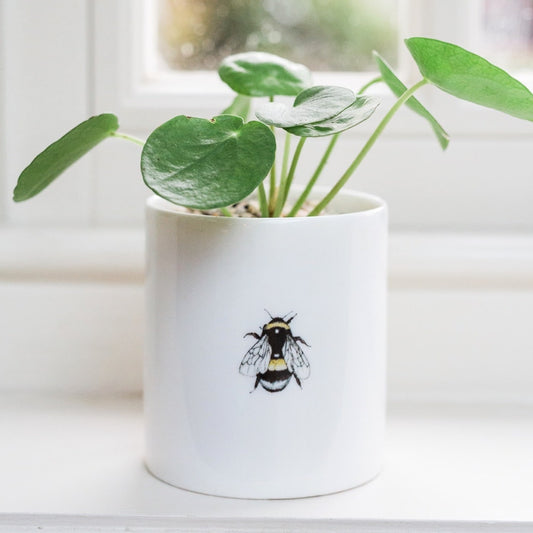 Bee Fine Bone China Pot in a Gift Box