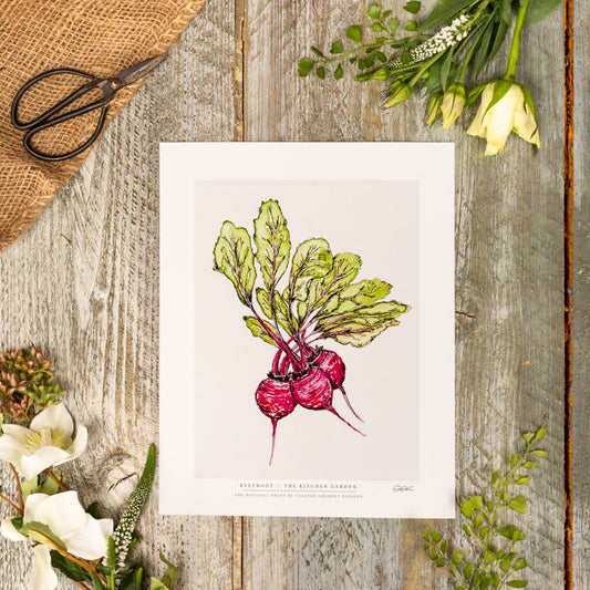 TESTER The Kitchen Garden Beetroot 10x12" Fine Art Print