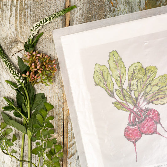 The Kitchen Garden Beetroot 10x12" Fine Art Print