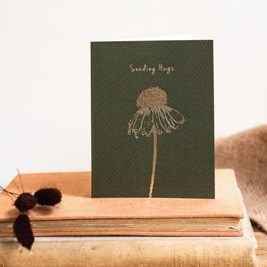 Sending Hugs Card (Cello-Free)