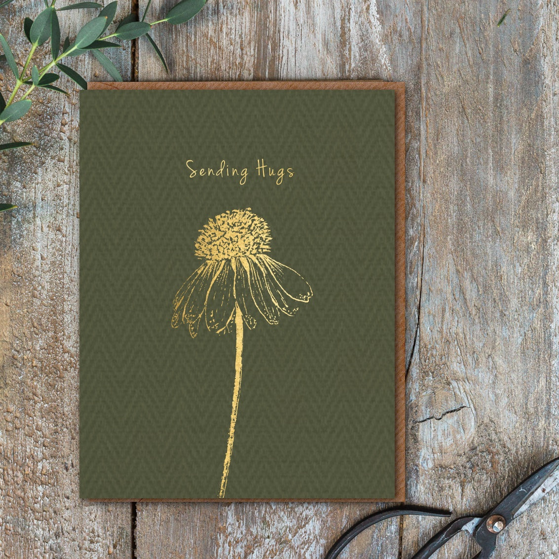 Sending Hugs Card (Cello-Free)