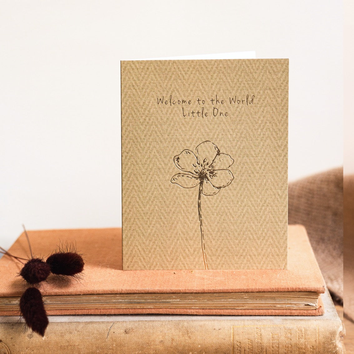 Welcome to the World Little One Card (Cello-Free)