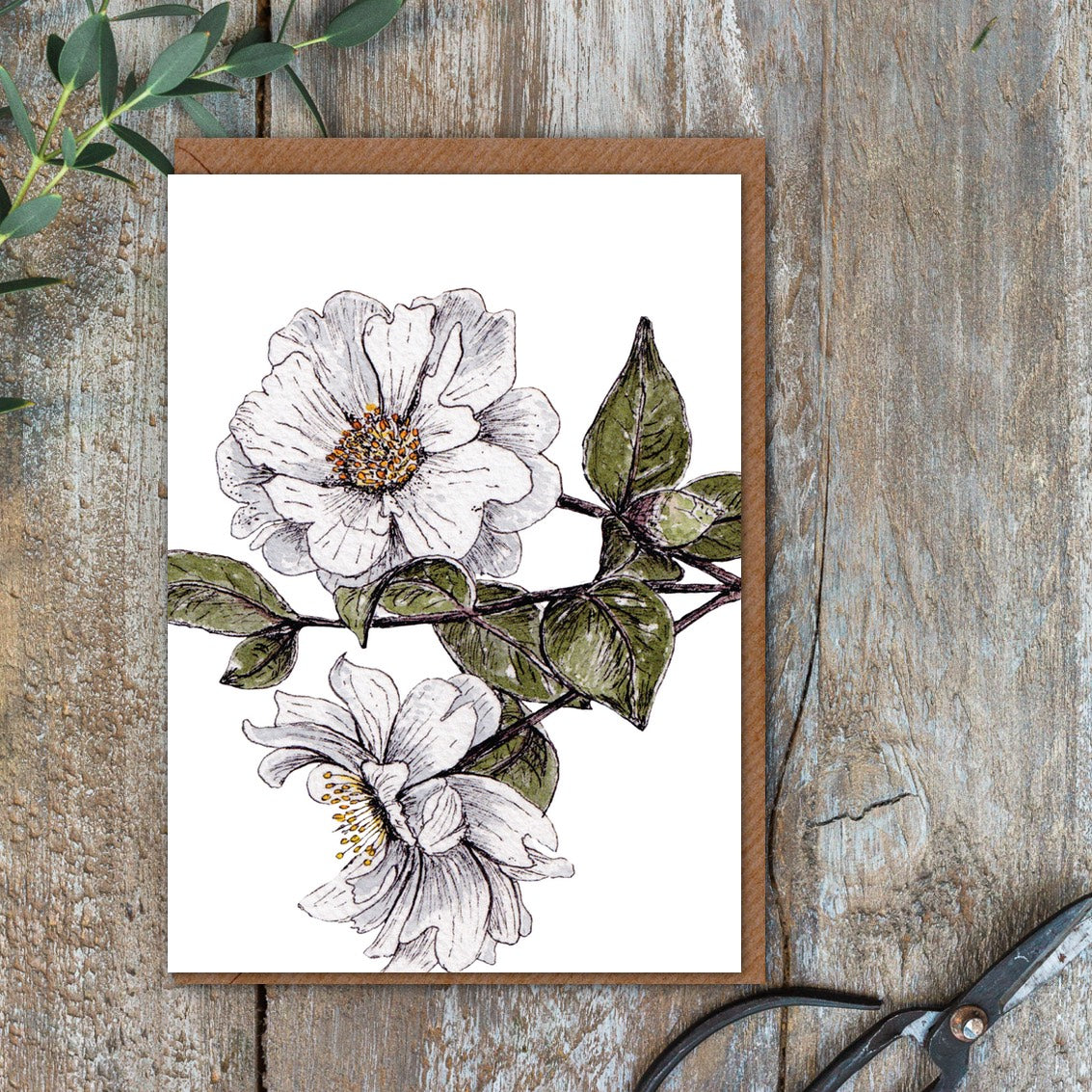 "The Blanc Collection" Boxed Set of 8 Mixed Notecards