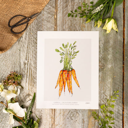 The Kitchen Garden Carrots 10x12" Fine Art Print
