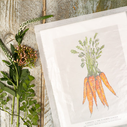 The Kitchen Garden Carrots 10x12" Fine Art Print