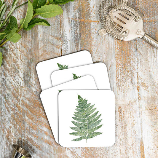 Woodland Fern (Pure) Set of 4 Coasters
