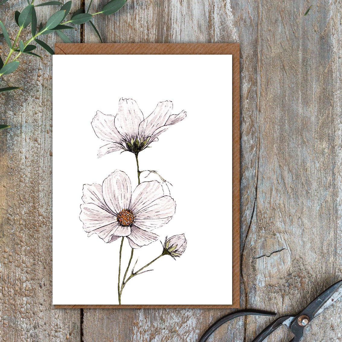 "The Blanc Collection" Boxed Set of 8 Mixed Notecards