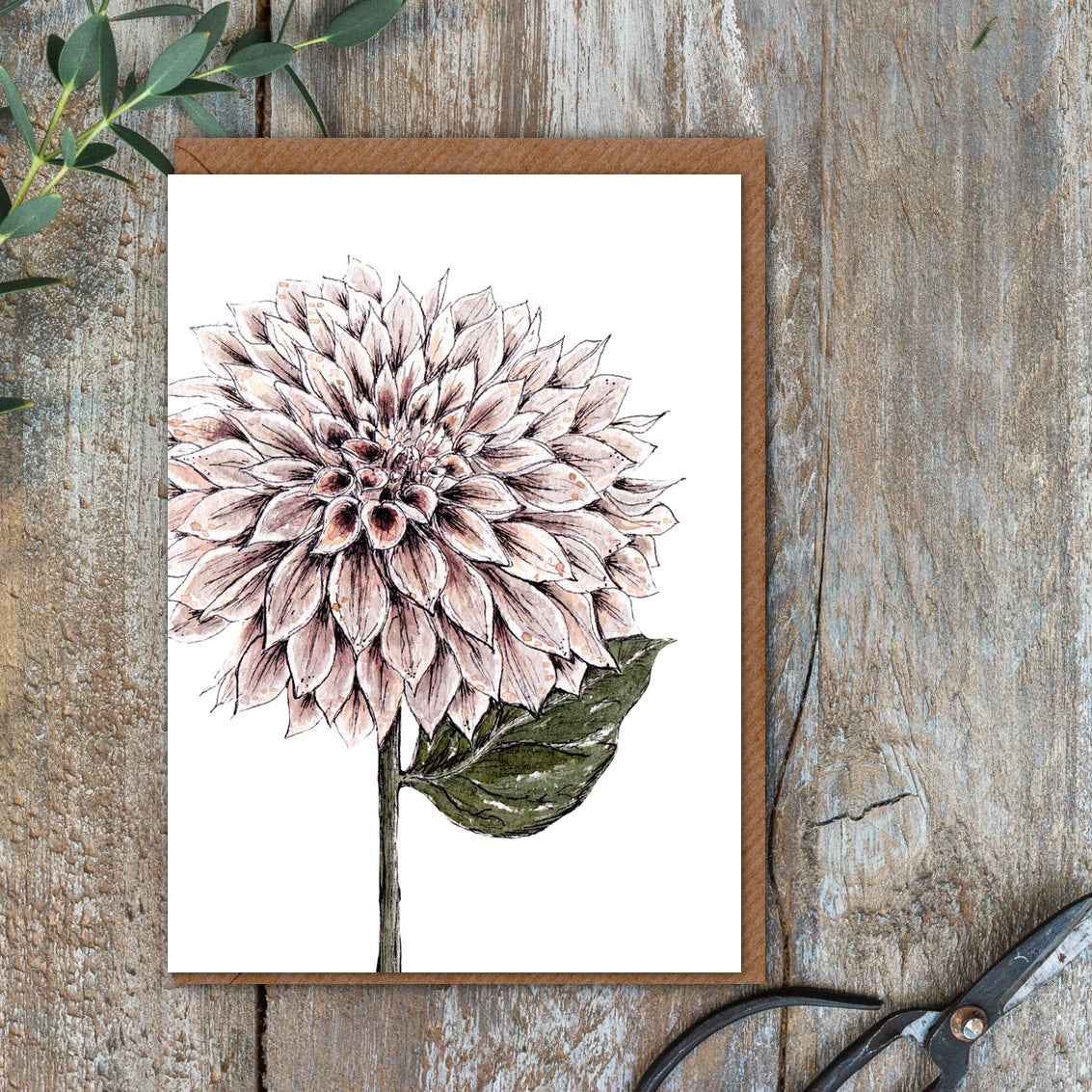 "The Blanc Collection" Boxed Set of 8 Mixed Notecards