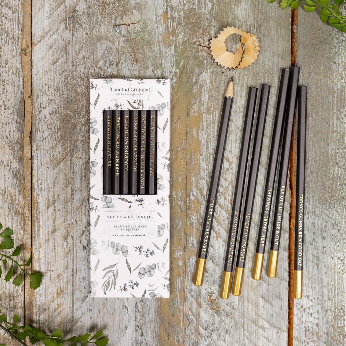 Eucalyptus (Pure) Set of 6 Pencils