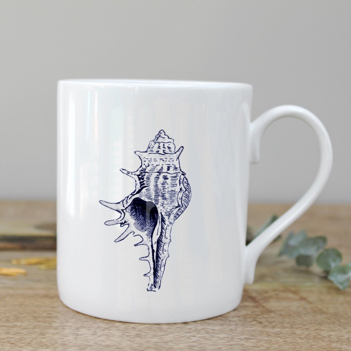 Conch Shell Mug in a Gift Box