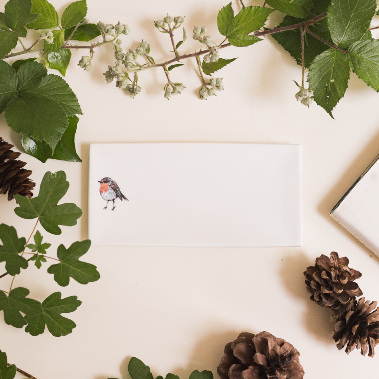 Robin Rectangular Soap Dish