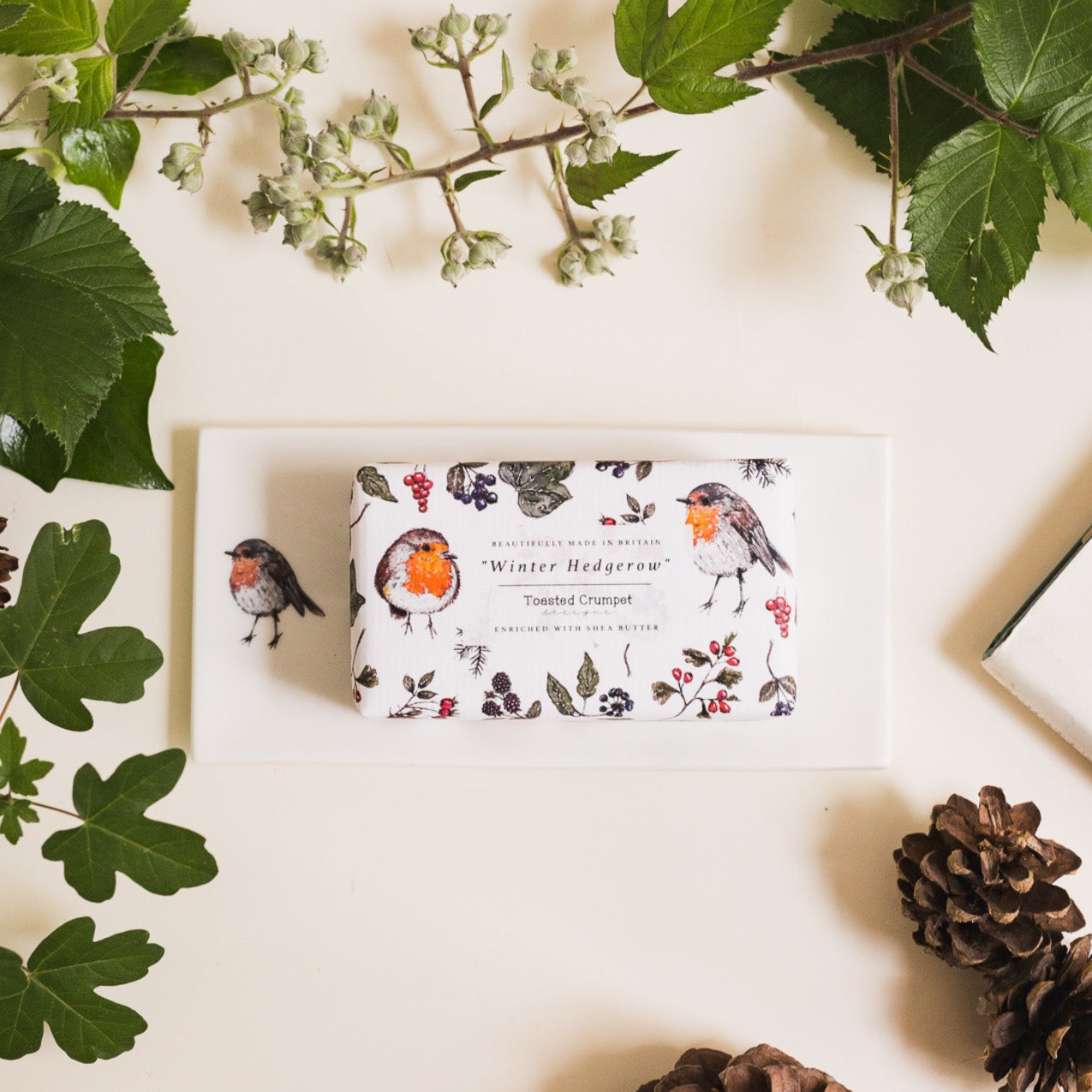 Robin Rectangular Soap Dish