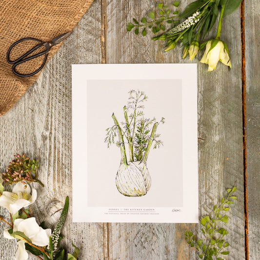 TESTER The Kitchen Garden Fennel 10x12" Fine Art Print
