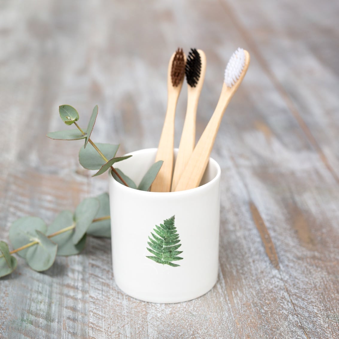Fern Fine Bone China Pot in a Gift Box
