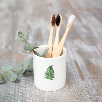 Fern Fine Bone China Pot in a Gift Box