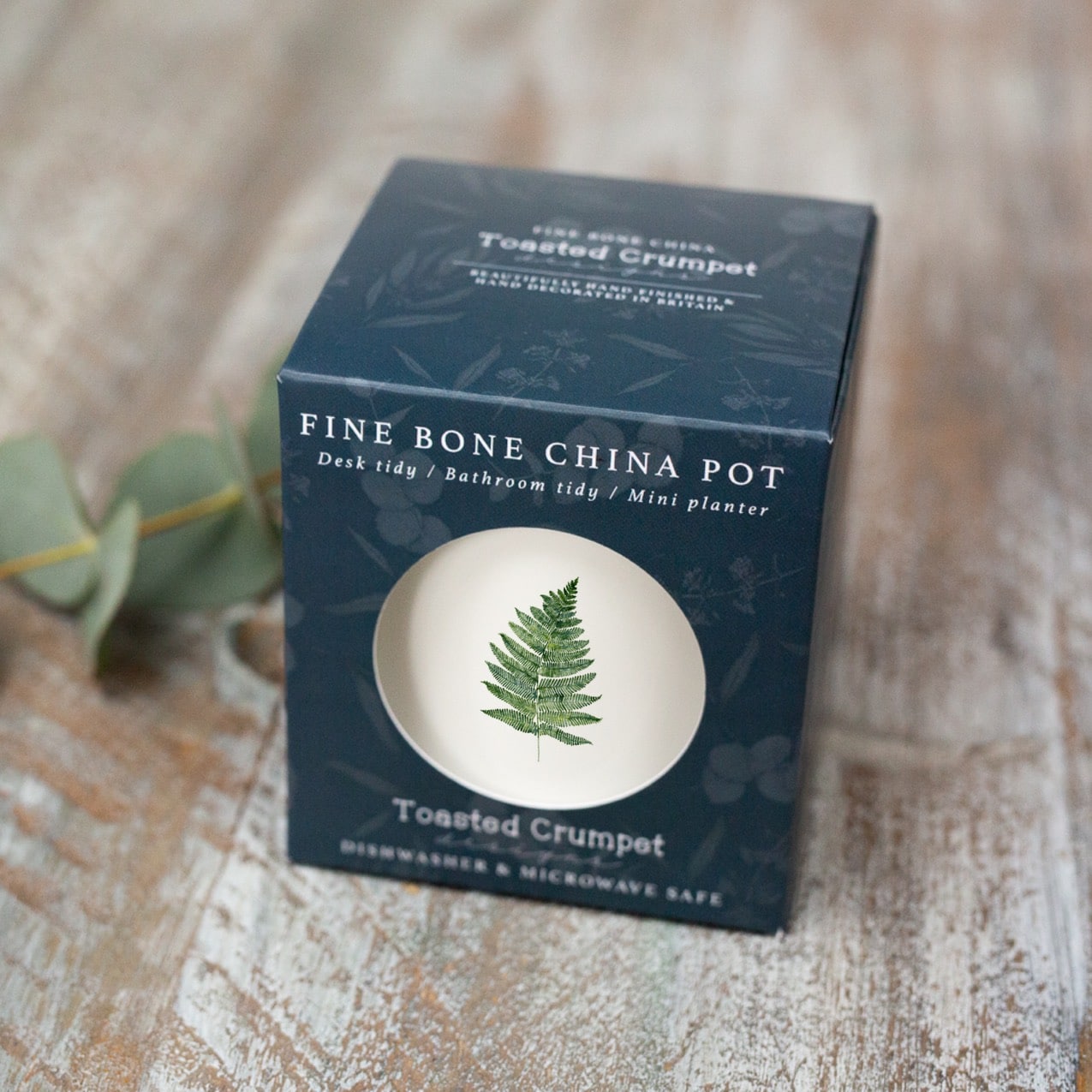 Fern Fine Bone China Pot in a Gift Box
