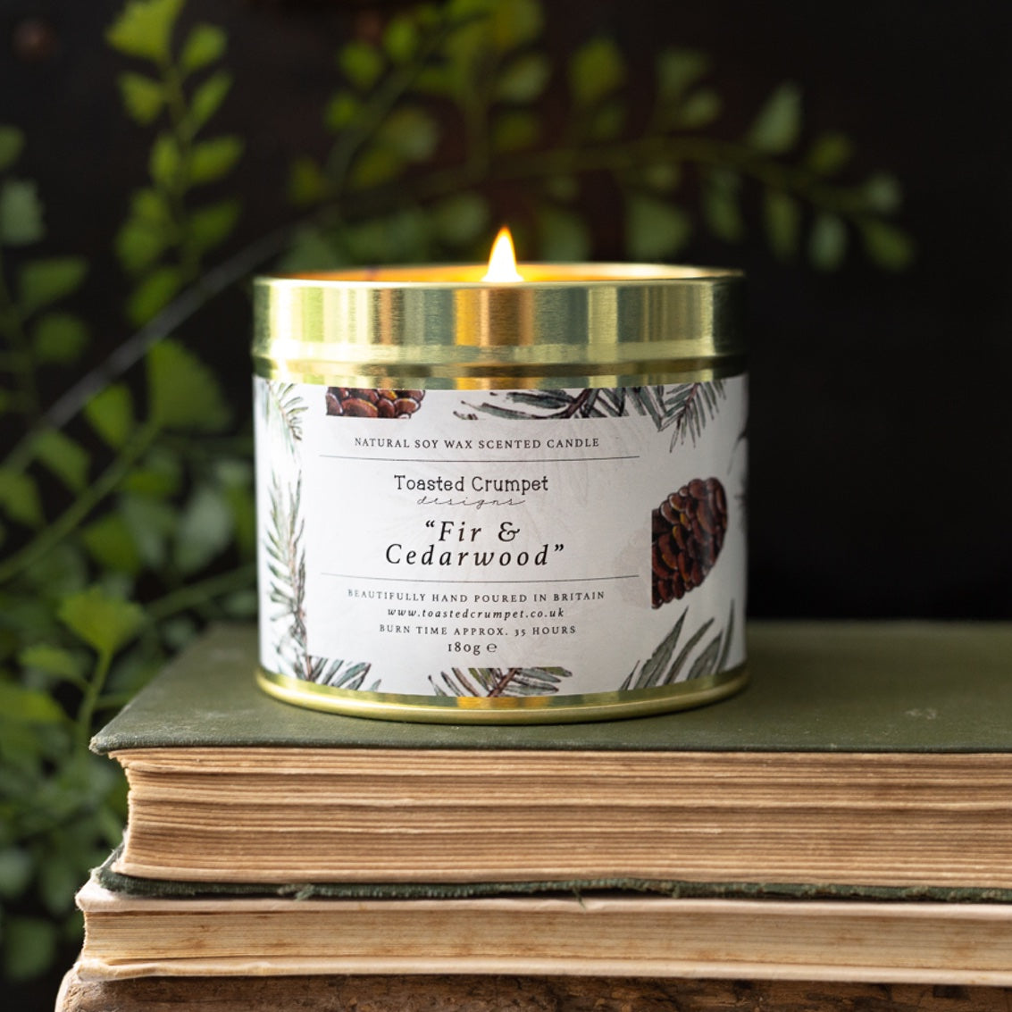 Fir & Cedarwood Candle in a Matt Gold Tin