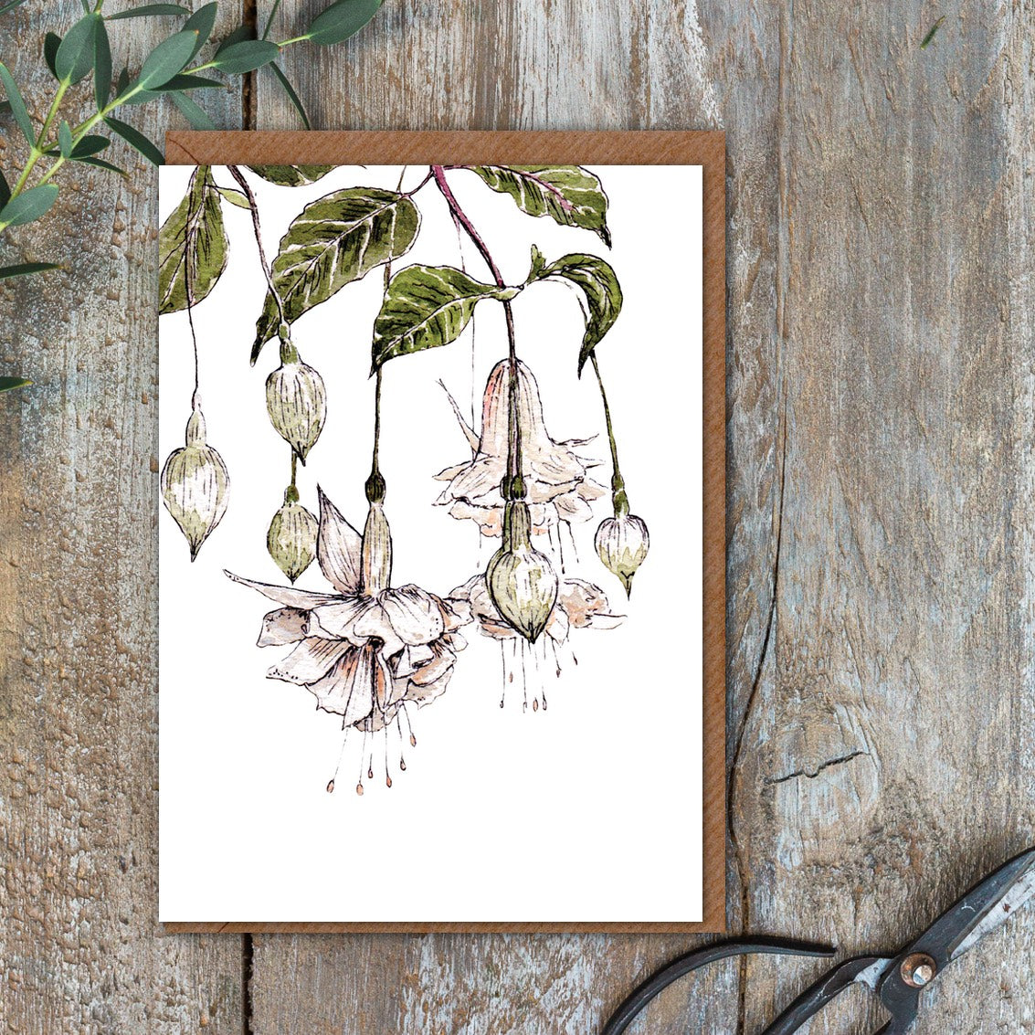 "The Blanc Collection" Boxed Set of 8 Mixed Notecards