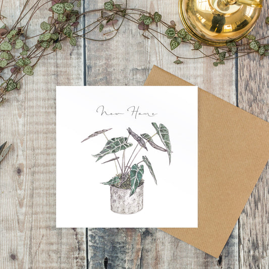 New Home Card (Cello-Free)