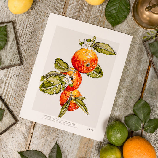 NEW! Seville Oranges 10 x 12" Fine Art Print