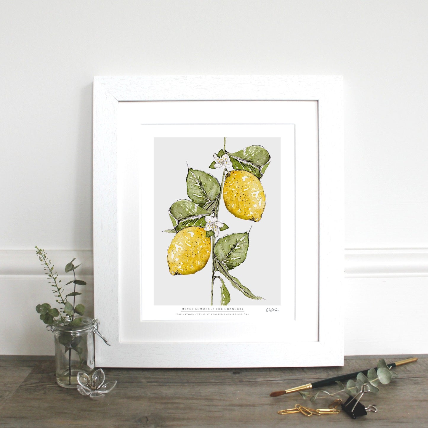 NEW! Meyer Lemons 10 x 12" Fine Art Print (available for dispatch from Jan 2026)