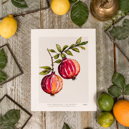 NEW! Sweet Pomegranate 10 x 12" Fine Art Print