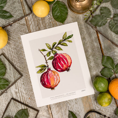 NEW! Sweet Pomegranate 10 x 12" Fine Art Print