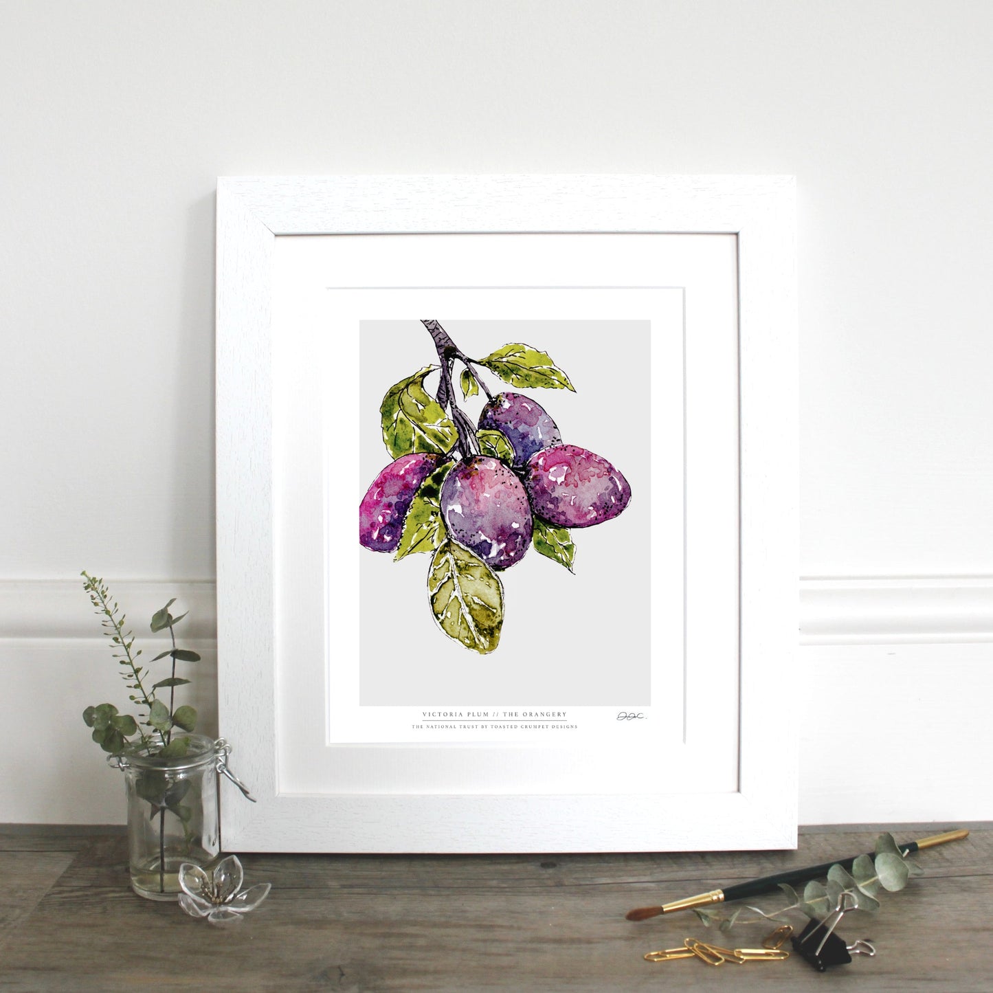 NEW! Victoria Plum 10 x 12" Fine Art Print (available for dispatch from Jan 2026)