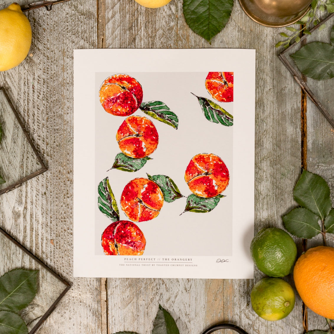 NEW! Peach Perfect 10 x 12" Fine Art Print