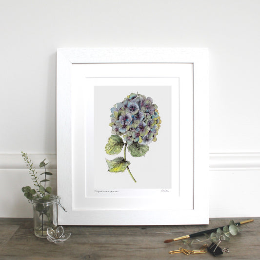 Hydrangea 10x12" Mounted Fine Art Print