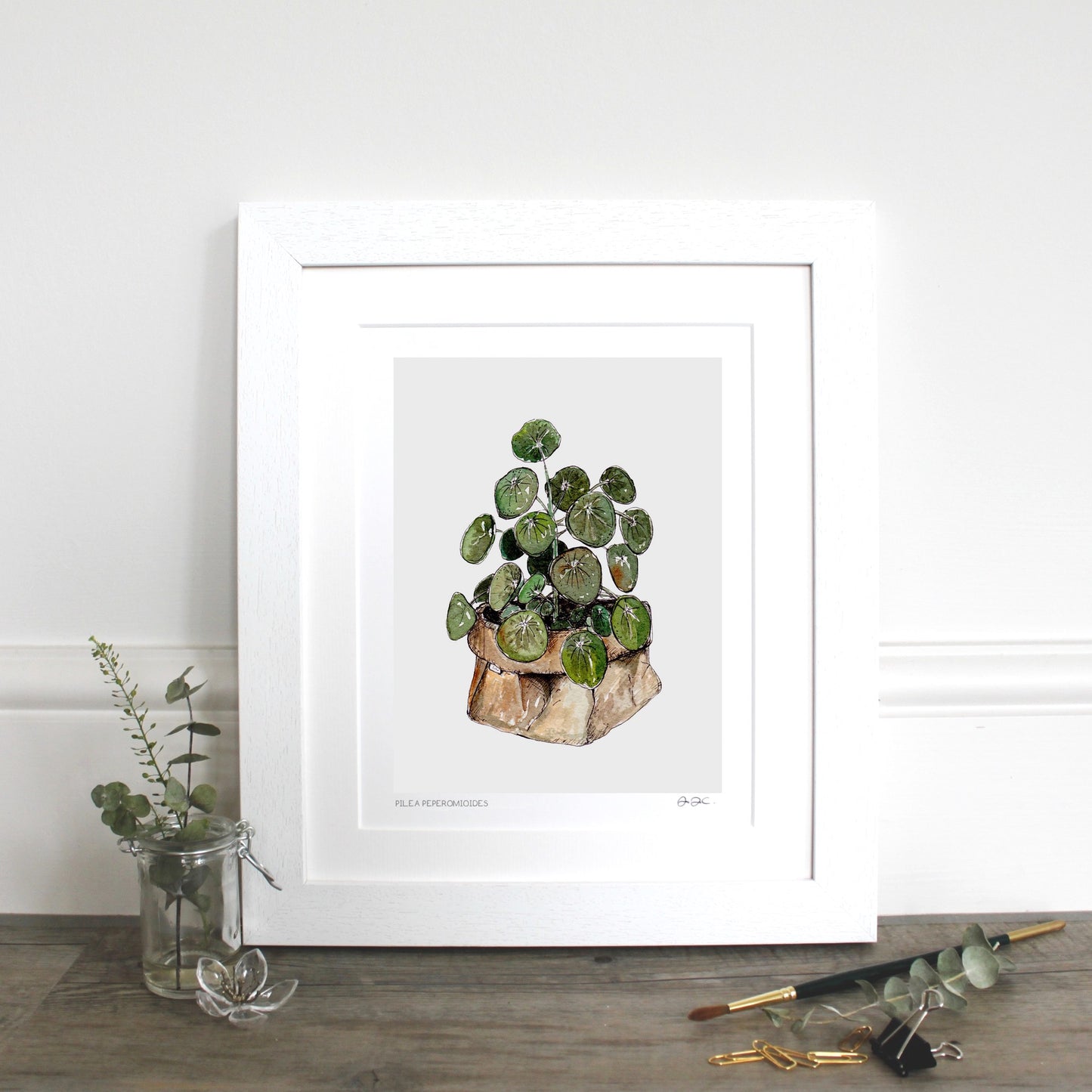 Pilea Peperomioides 10x12" Mounted Fine Art Print