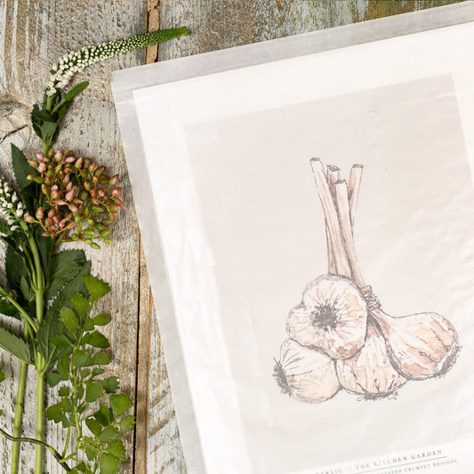 The Kitchen Garden Garlic 10x12" Fine Art Print