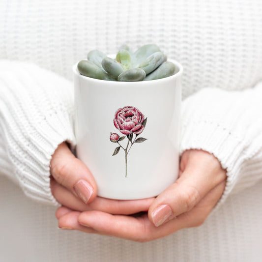 Peony Fine Bone China Pot in a Gift Box