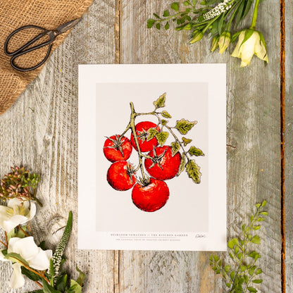 The Kitchen Garden Heirloom Tomatoes 10x12" Fine Art Print