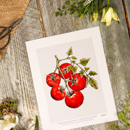The Kitchen Garden Heirloom Tomatoes 10x12" Fine Art Print
