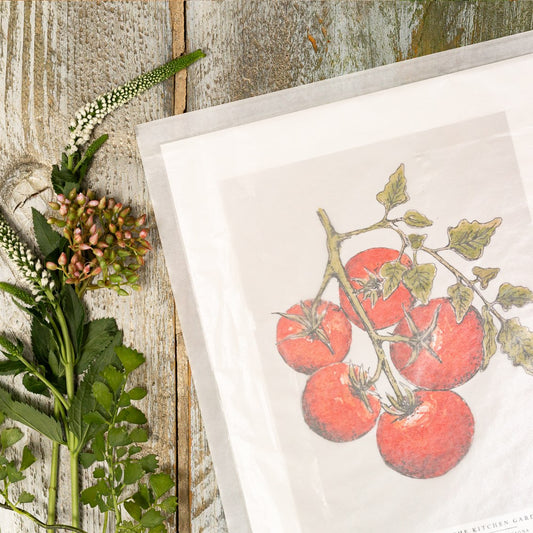 The Kitchen Garden Heirloom Tomatoes 10x12" Fine Art Print