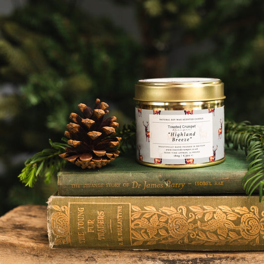 Highland Breeze Candle in a Matt Gold Tin
