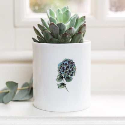 Hydrangea Fine Bone China Pot in a Gift Box