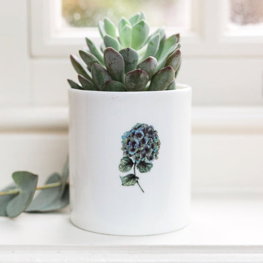 Hydrangea Fine Bone China Pot in a Gift Box